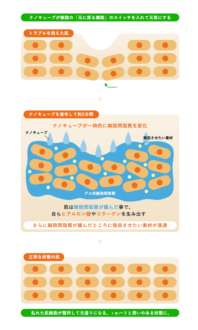 リ；ベイブ | 株式会社アンテナ