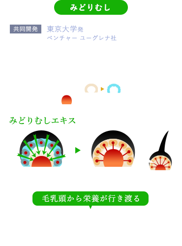 ミドリムシ　共同開発　東京大学発 ベンチャーユーグレナ社
